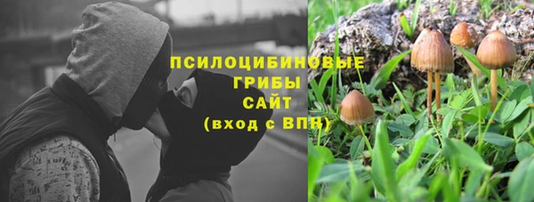 соль ск Абаза
