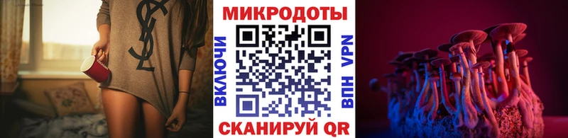 Псилоцибиновые грибы Cubensis  Мамадыш 