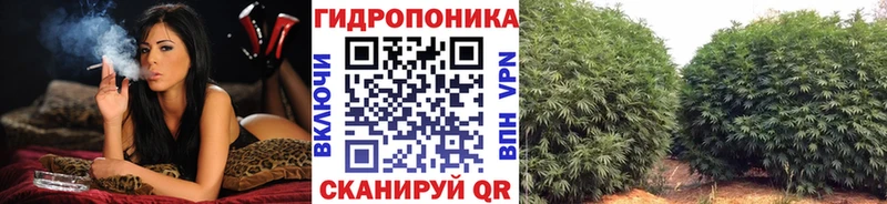Шишки марихуана LSD WEED Мамадыш